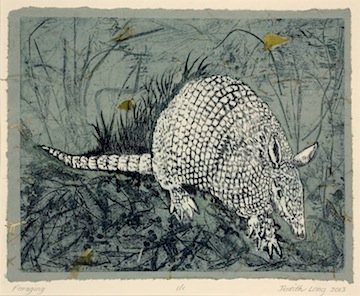Foraging, by Judith Long