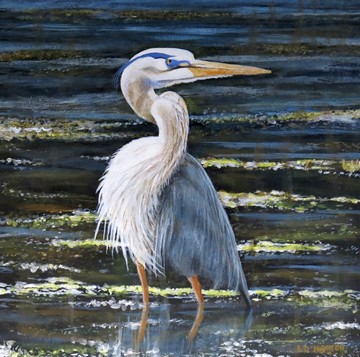 Blue Heron on Sparkling Pond, by Ed Morton