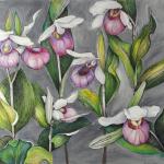 Orchids on Parade, by Barbara Bean