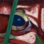 Eye of Toad, soft pastel