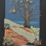 In the Botanic Garden, by Carolyn Judson