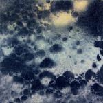 Fomentation III.iii, polymer direct gravure intaglio print