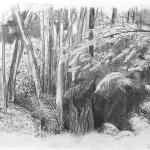 Forest Edge, graphite drawing by Alan Mast