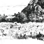 House and Woods, ink drawing by Alan Mast