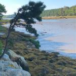 Marsh Water, photograph by Rita Erskine