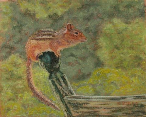 Balance: Chipmunk, by Barbara Snapp