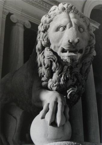 Campus King, by Judith Long