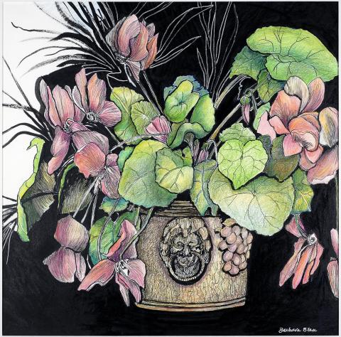 A botanical drawing in ink and colored pencil by Barbara Bean